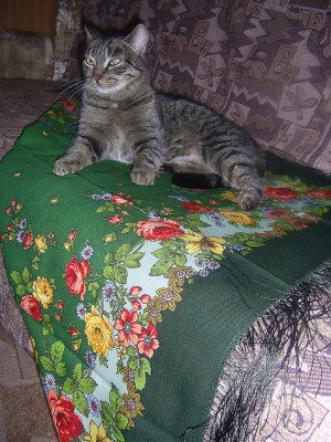 в платке 006.jpg