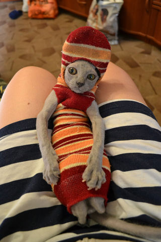 жанна.jpg
