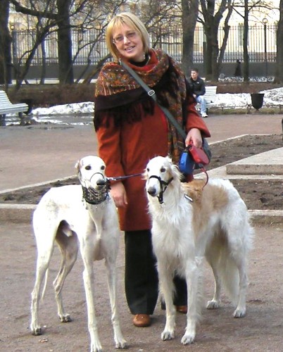 Фламенко 1185-7,  Елена Жукова