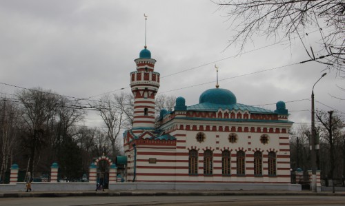 IMG_1503.JPG