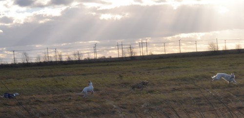 1м.jpg