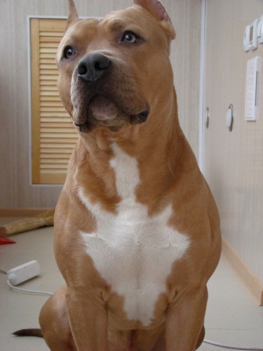 DSC01741 - копия 2.jpg