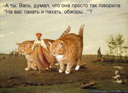 qMgvm-5wYMs.jpg