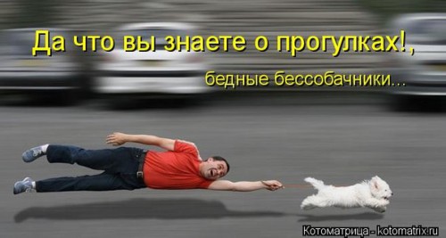 FM6iZe5g5Wk.jpg