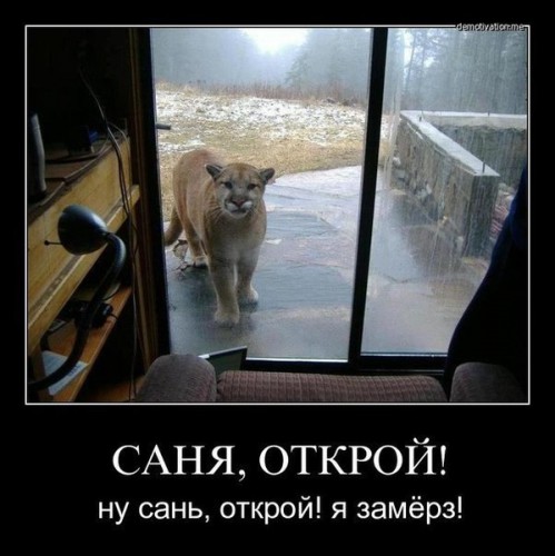 OU7OgN0ktTk.jpg