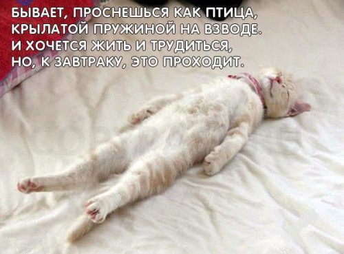 апыфгп.jpg