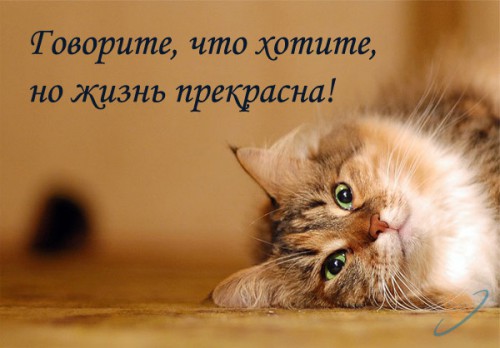 7691e77b22e7.jpg
