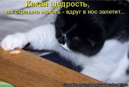 81223310_large_541367.jpg