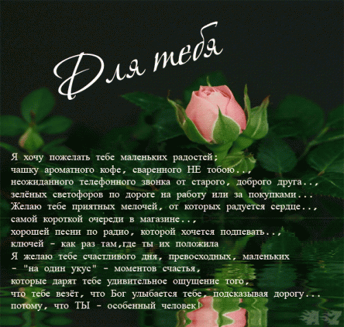 0_4812b_9e74f56f_XL.gif