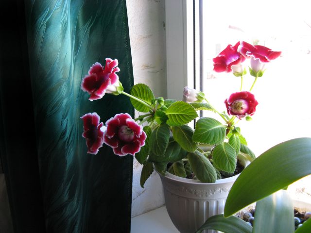 IMG_0676.jpg