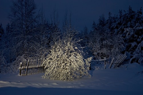 _N9O3909.jpg