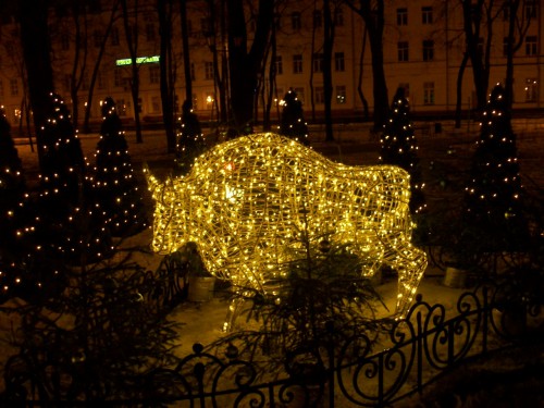 100_4534.JPG