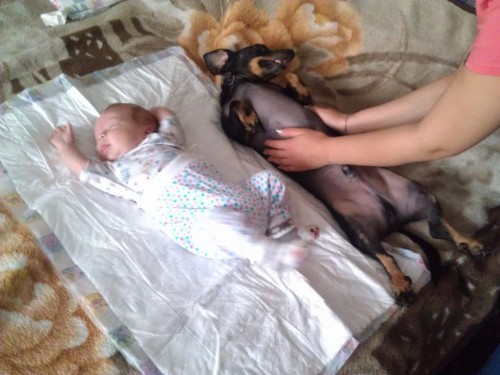 Копия IMAG2273.jpg