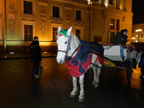 DSCN3122.JPG