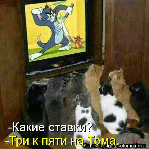 kotomatritsa_Wb.jpg
