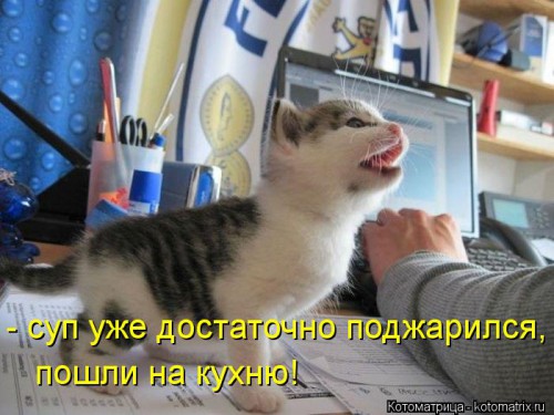 kotomatritsa_uB.jpg