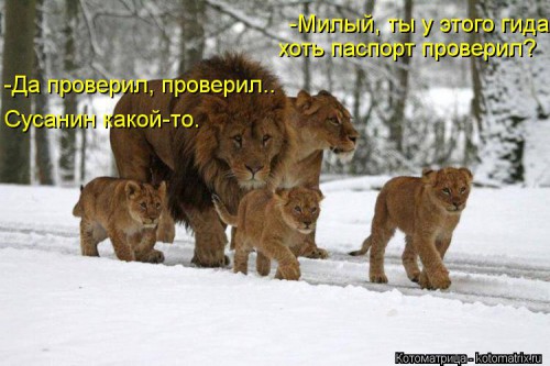 kotomatritsa_Iau.jpg