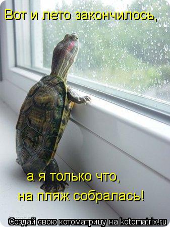 kotomatritsa_lz.jpg