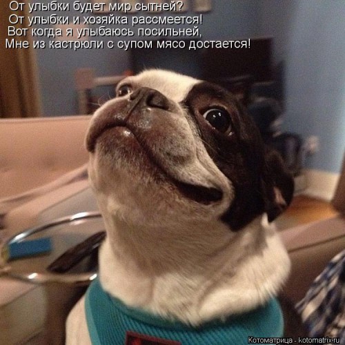 kotomatritsa_NG.jpg