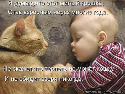 kotomatritsa_oq.jpg