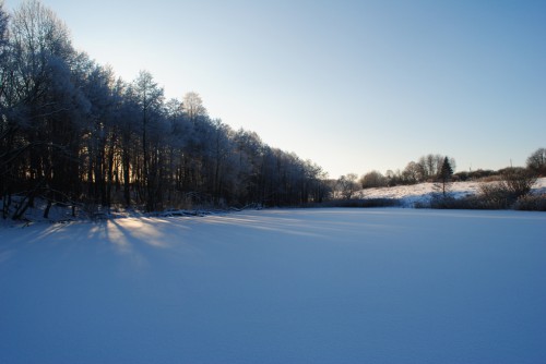 DSC_0227.JPG