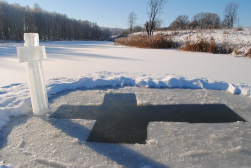 DSC_0224.JPG