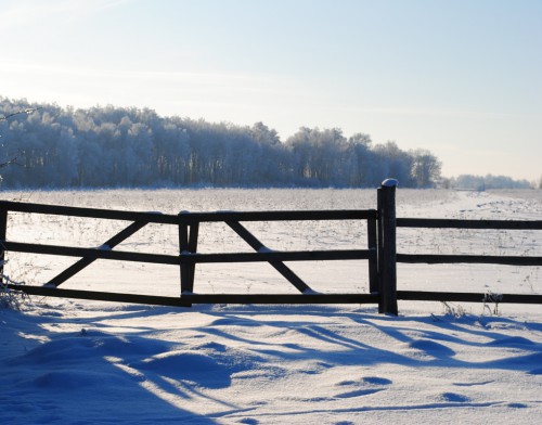 DSC_0225.JPG
