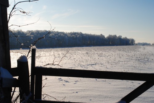 DSC_0226.JPG