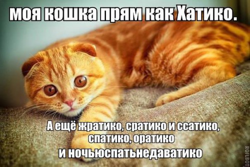 getImageCA7LRALW.jpg