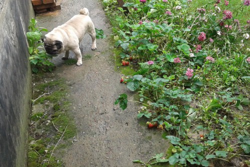 2012-06-22 11.13.06.jpg
