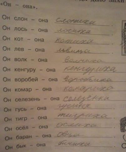 он-она.jpg