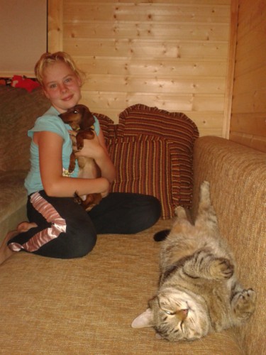 Наглый развалившийся Барсик!