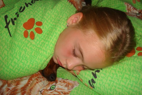 Я потеряла Фро - где же я ее обнаружила?????