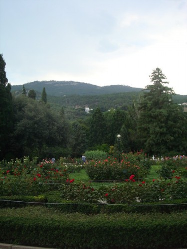 DSC08324.JPG