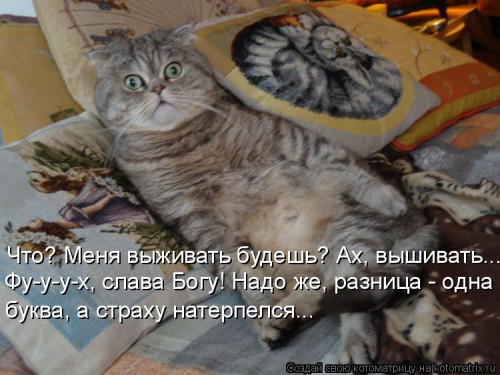 kotomatritsa_F.jpg
