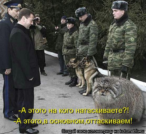 kotomatritsa_79.jpg