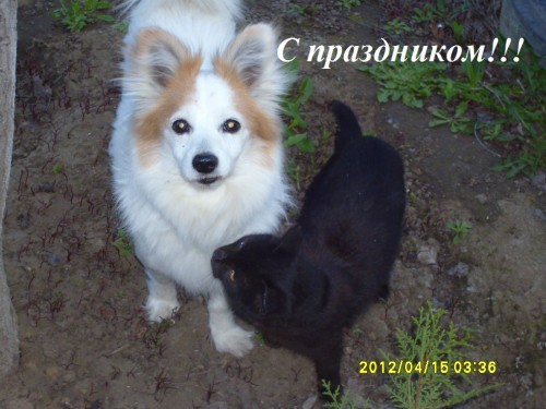 с праздником1.JPG