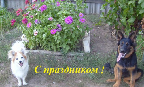 31 июля (12).JPG