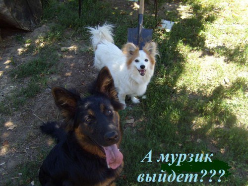 27 июля (23).JPG