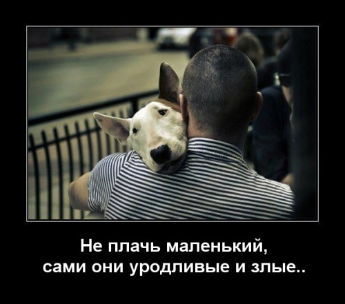 fcaabb5db50f1cb2ad5e779ccf910b50.jpg