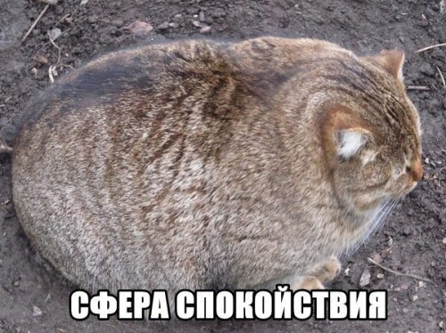 tUxCHOUeuLI.jpg