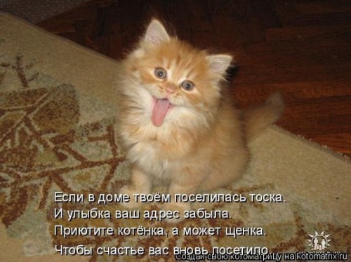 -image-19-84-84401b5c58c3469b786726eb6f2e57b5.jpg
