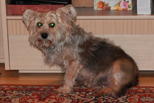 зима 2014 054.jpg