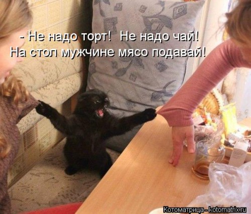 kotomatritsa_yR.jpg
