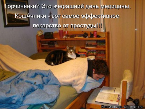 kotomatritsa_r.jpg