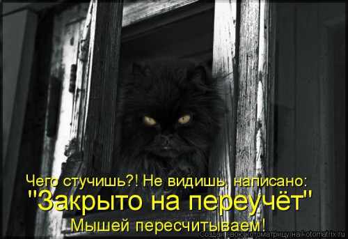 780689.jpg