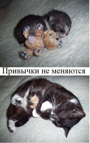 UP2dnNP_B9A.jpg