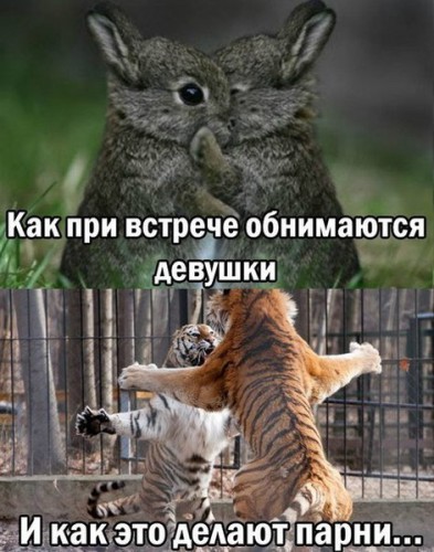 dZnAEHHyamg.jpg