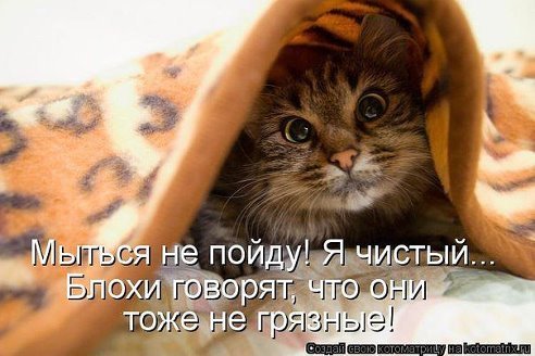 жжжжжжж.jpeg