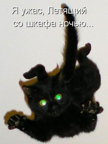 wZyhHUeytwE.jpg